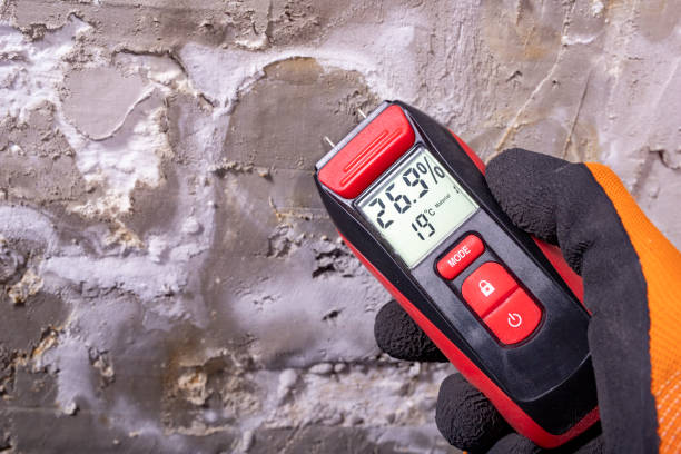 Best Professional Mold Removal  in Providence, KY