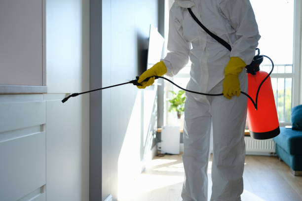 Crawl Space Mold Removal in Providence, KY